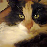 myriam_ickx_1 avatar