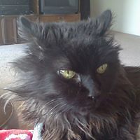 roger_brown_921 avatar