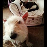 amy_campbell_58760 avatar