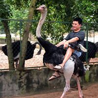 1CalvinHuynh1 avatar