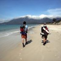 54f03ba4ed556 avatar