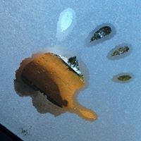 jacquieliveshere avatar