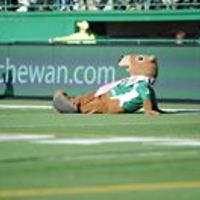 54f08a8938ae1 avatar