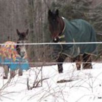 robin_talsma_3 avatar