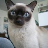 joyce_stewart_98 avatar