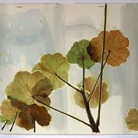 sandra_smith_50552338 avatar