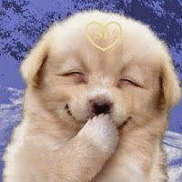 sandracastillo avatar