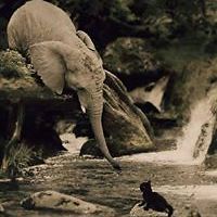 linda_hawthornetracton_1 avatar