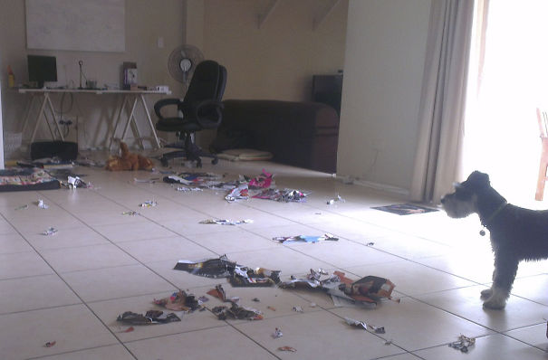 Oh, This Was Your Work Portfolio? Look At All The F*cks I Don't Give!