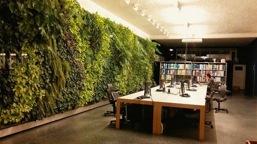 Reading Room In Rotterdam