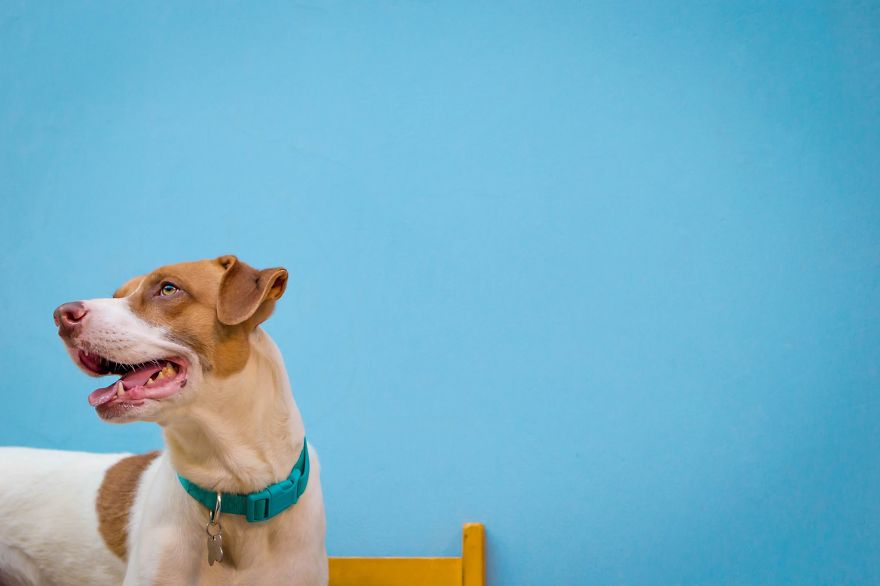 My Photos Of Our Best Friends To Fill Your Hearts With Love