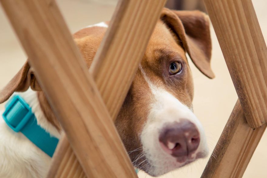 My Photos Of Our Best Friends To Fill Your Hearts With Love