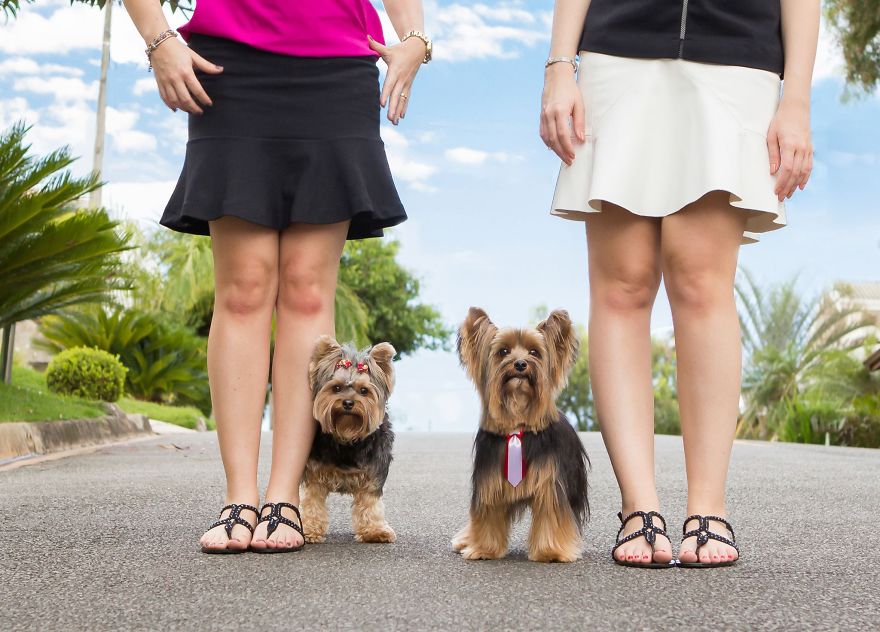 My Photos Of Our Best Friends To Fill Your Hearts With Love