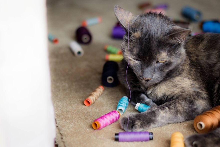 My Photos Of Our Best Friends To Fill Your Hearts With Love