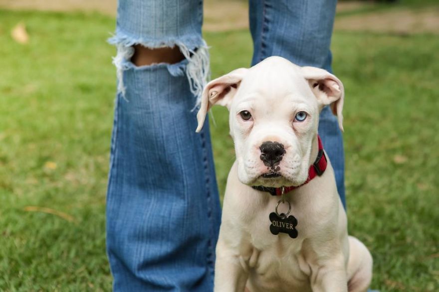 My Photos Of Our Best Friends To Fill Your Hearts With Love