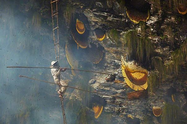 Honey Hunters In Nepal