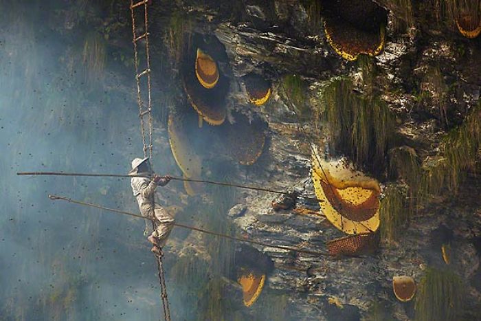 Honey Hunters In Nepal