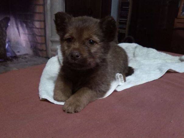 Her Real Name Is...bear!