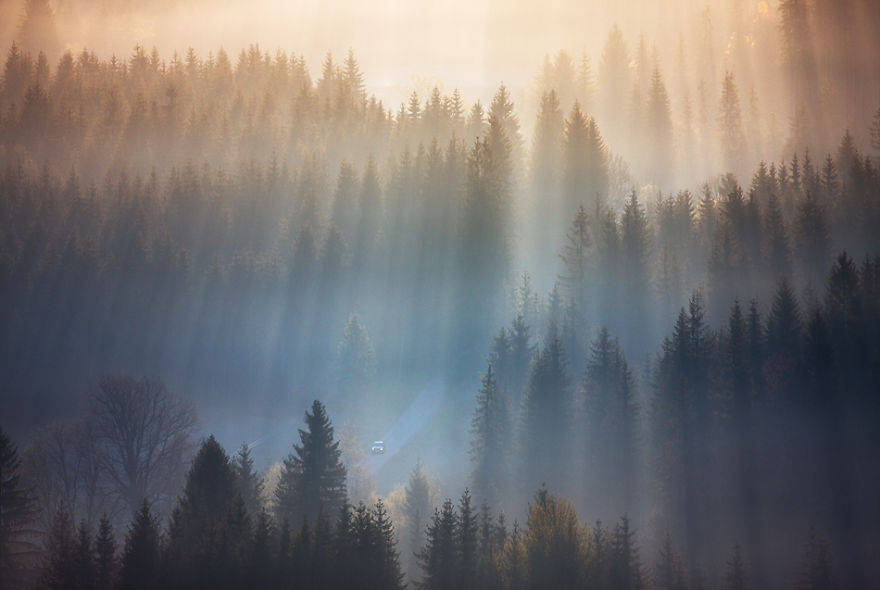 My Pictures Of Amazing Rays