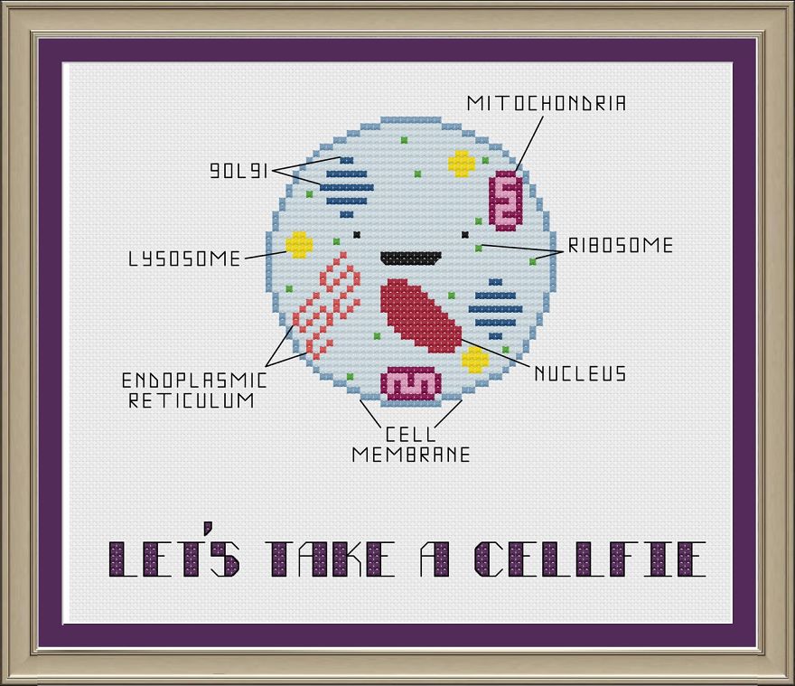 Let's Take A Cellfie