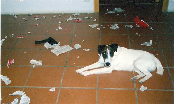 It´s Not My Problem Being Left Alone...