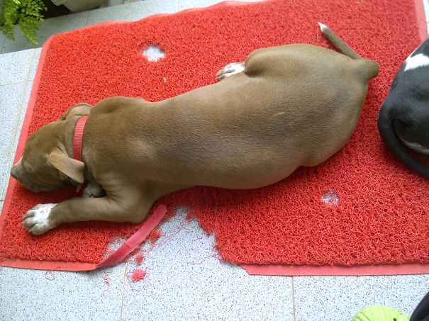 Sleep On The Delinquency Is Remarkably...;p