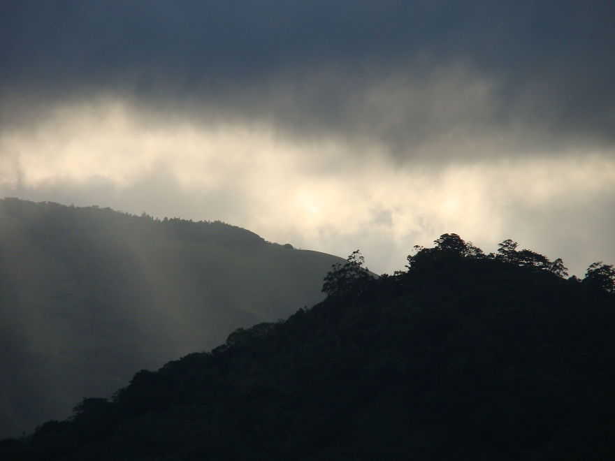 Cloud Forest, Monteverde, Costa Rica