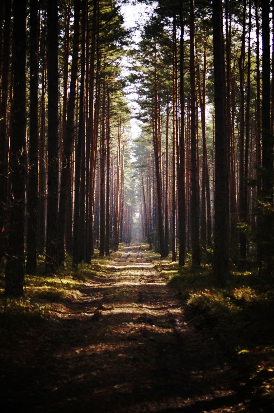 Podkarpackie, Poland