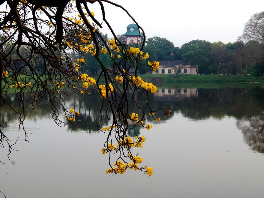 Dash Of Beauty Around The Indian Institute Of Engineering Science & Technology, Howrah, India Dash Of Beauty Around The Indian Institute Of Engineering Science & Technology, Howrah, India