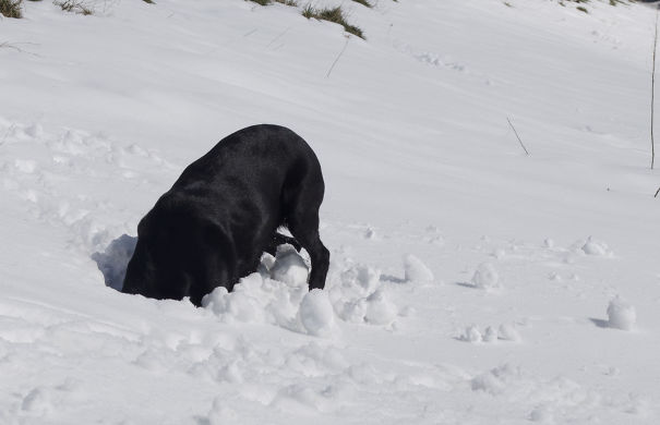 Ok Well Bet You Can't See Me Here Then!!