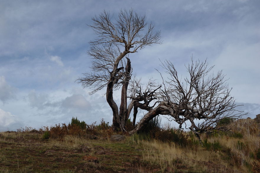 Pico Ruivo, Madeira Island.