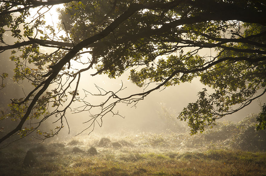 Leicestershire, England