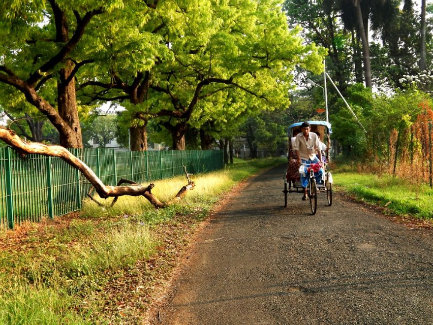Dash Of Beauty Around The Indian Institute Of Engineering Science & Technology, Howrah, India Dash Of Beauty Around The Indian Institute Of Engineering Science & Technology, Howrah, India