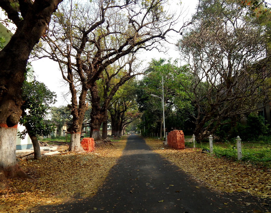 Dash Of Beauty Around The Indian Institute Of Engineering Science & Technology, Howrah, India Dash Of Beauty Around The Indian Institute Of Engineering Science & Technology, Howrah, India