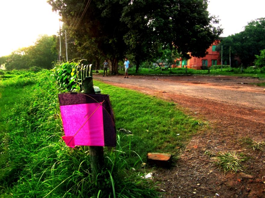 Dash Of Beauty Around The Indian Institute Of Engineering Science & Technology, Howrah, India Dash Of Beauty Around The Indian Institute Of Engineering Science & Technology, Howrah, India