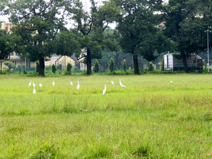 Dash Of Beauty Around The Indian Institute Of Engineering Science & Technology, Howrah, India Dash Of Beauty Around The Indian Institute Of Engineering Science & Technology, Howrah, India