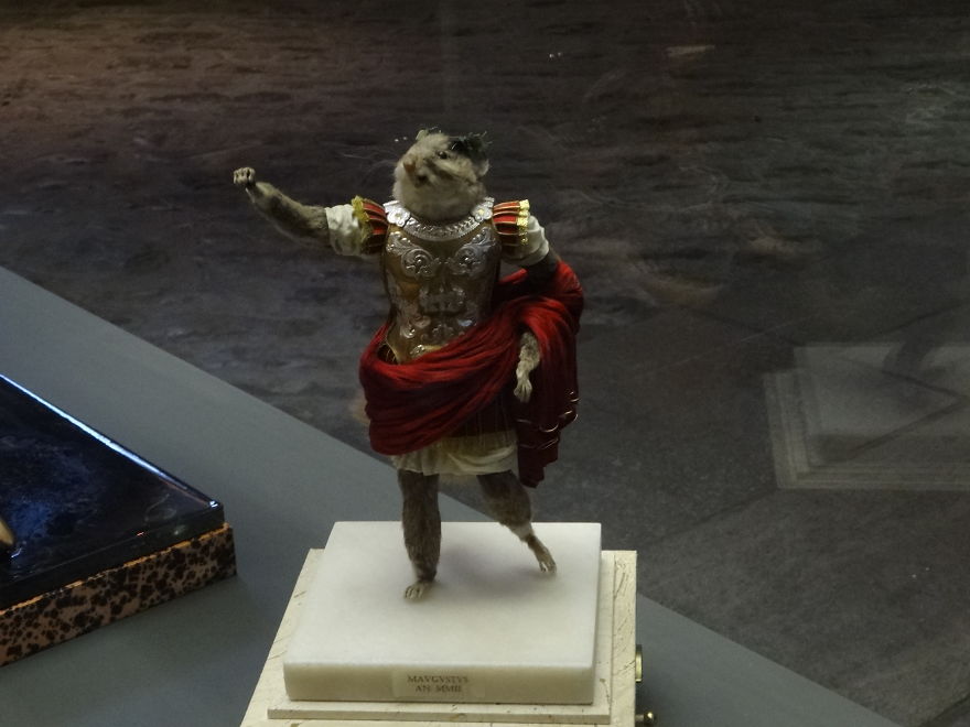 Fabulous Creatures Feather Figurines Collection (fabelhafte Wesen)