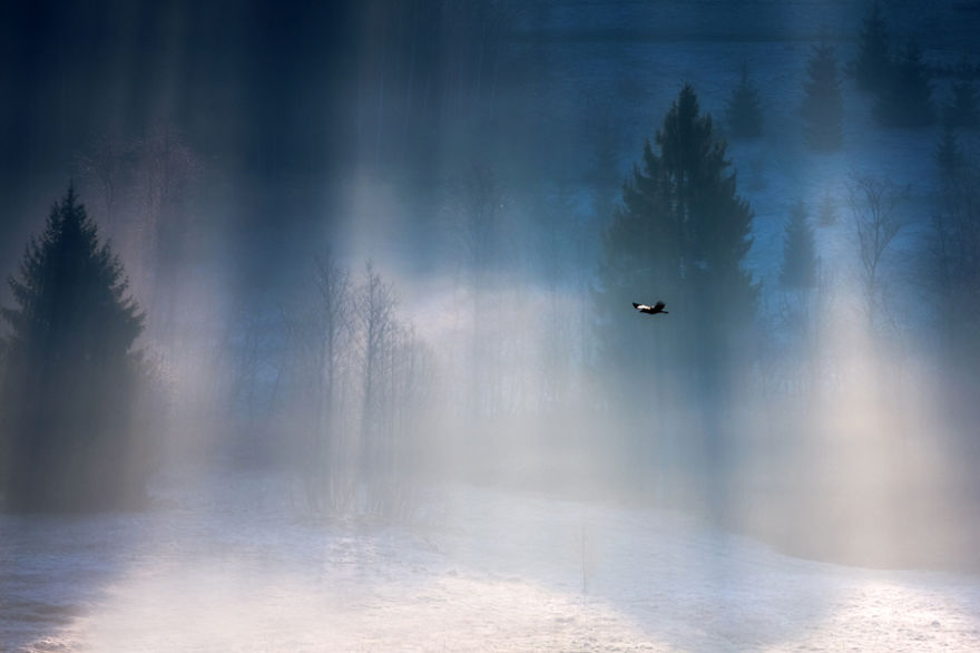 My Pictures Of Amazing Rays