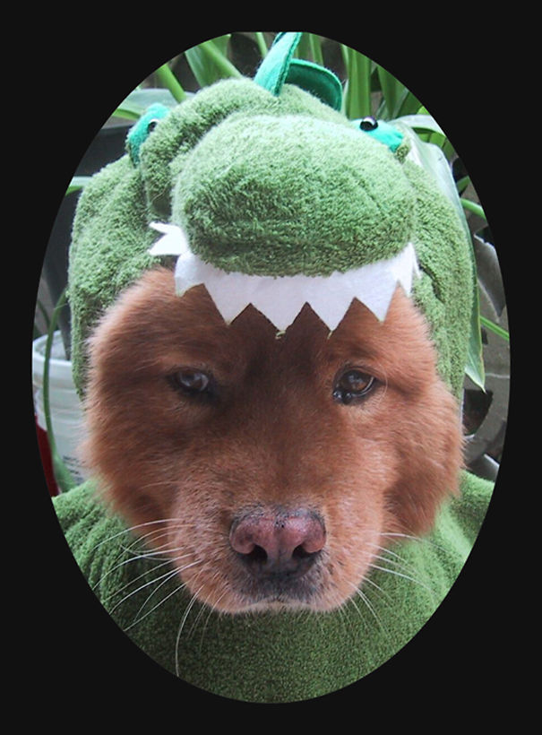 Pretend To Be Friends...then Zap...dinosaur Dinner