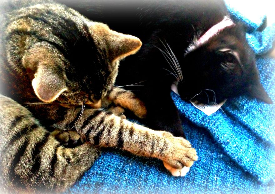 I'll Hold Your Hand While You Sleep.