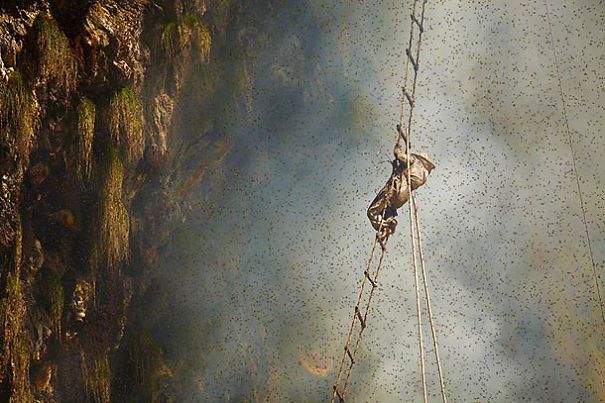 Honey Hunters In Nepal