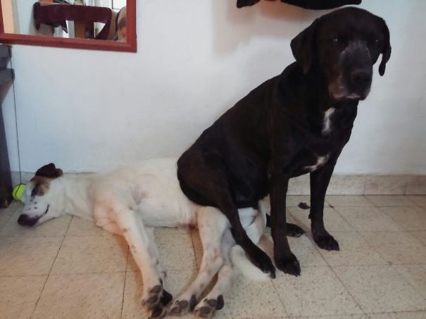 The Floor Is Cold....