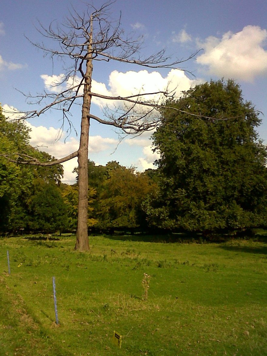 National Trust In West Yorkshire England.