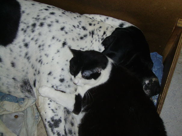 Black & White Couple.