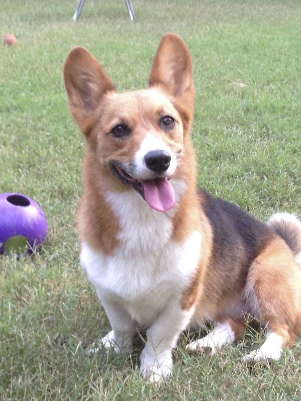 Ella Rose (such A Happy Girl)!