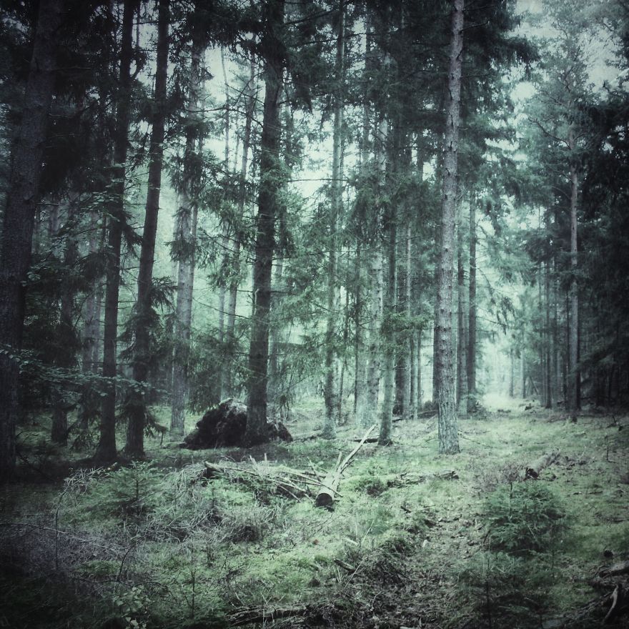 North Zealand, Denmark.