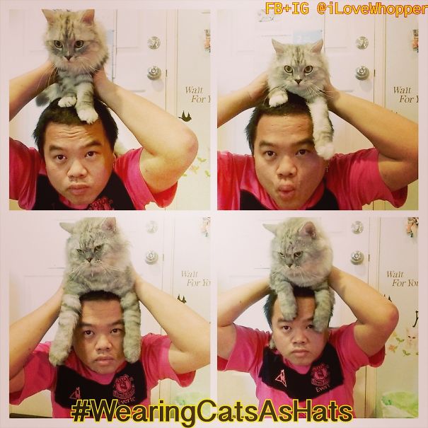 My Cat Whopper & Toffee