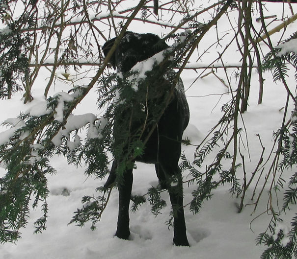 Bet You Can't See Me Here!!