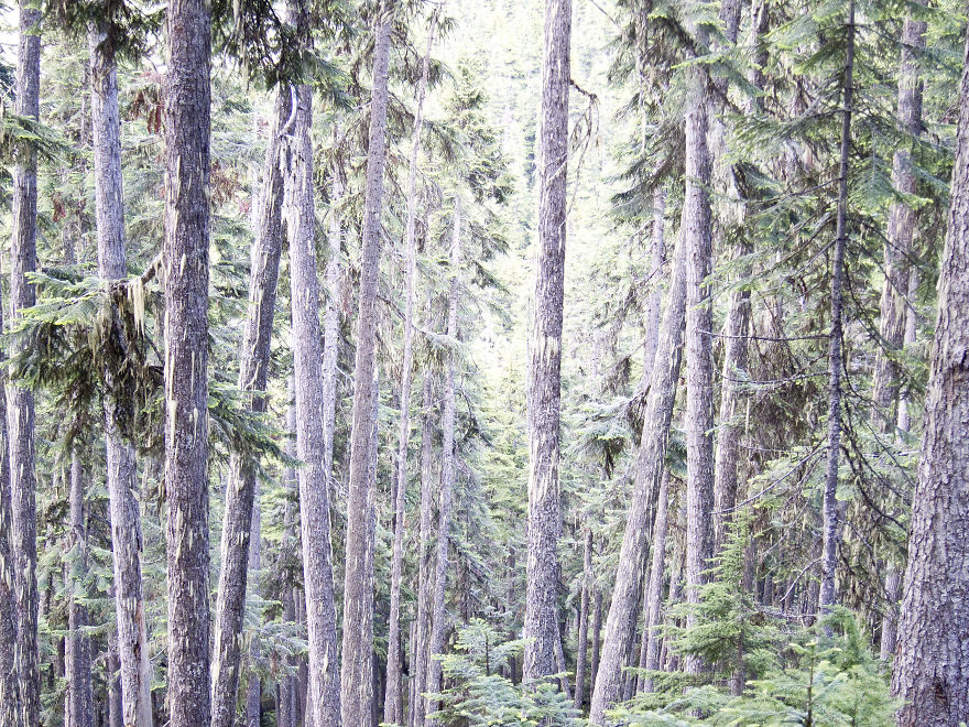 Singing Pass, British Columbia, Canada
