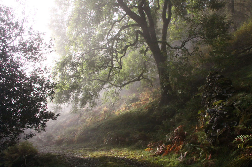 Langdale, Cumbria, England